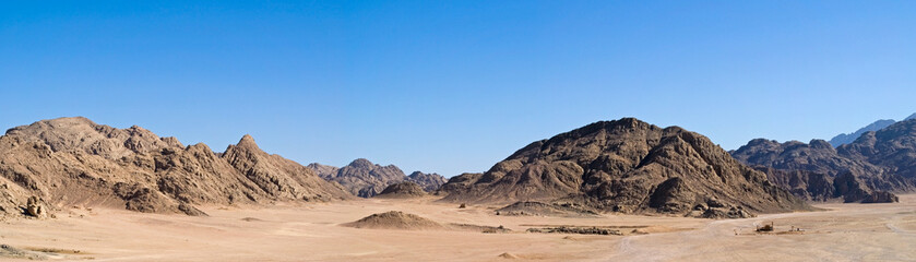 Desert panorama