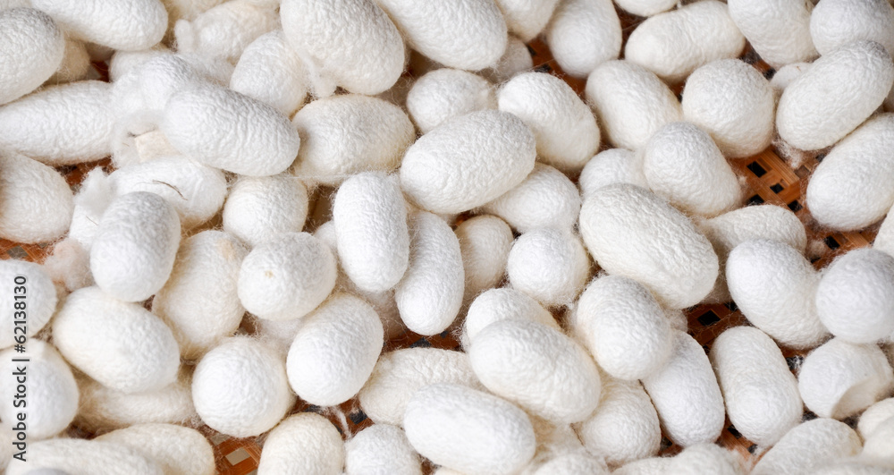Cocons De Ver à Soie Naturels - Exfoliant Gommant Purifiant Pour Le Corps - NEUF