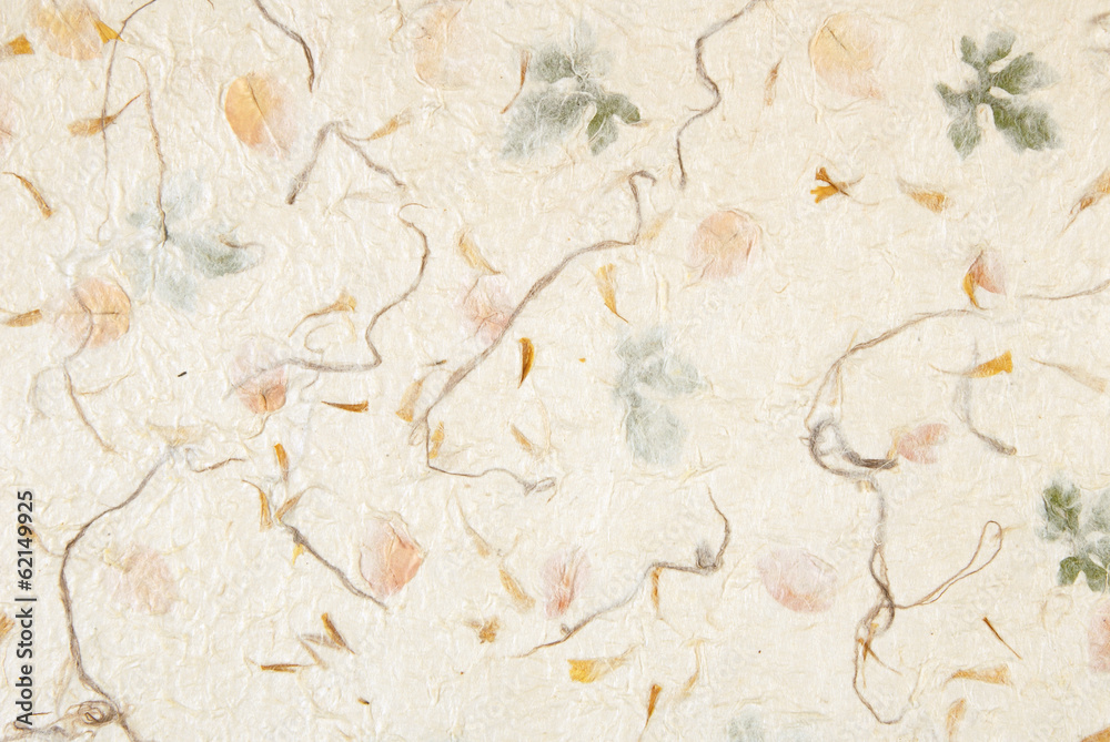 Paper background with organic leaves intertwined. Stock Photo | Adobe Stock