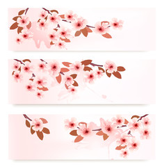 Aufkleber - Three spring banners with blossoming branches with pink flowers.