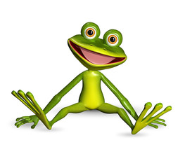 Wall Mural - green frog