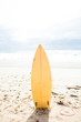 © ElinaManninen - Surfboard standing upright in sand