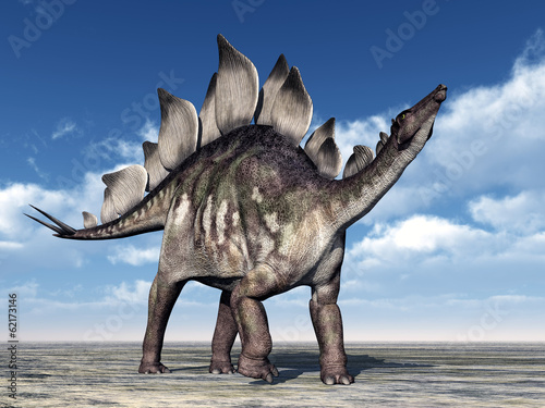 Plakat na zamówienie Dinosaurier Stegosaurus