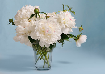 Wall Mural - white peony