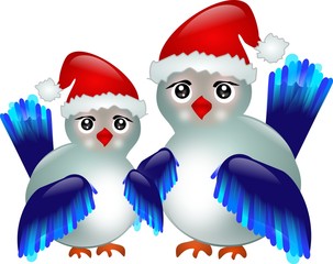 Blue birds with Santa's hat