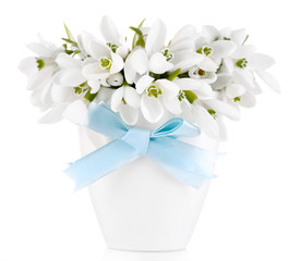 Wall Mural - Beautiful snowdrops in vase, isolated on white