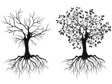 Trees With Roots
