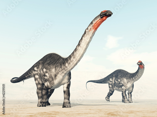 Tapeta ścienna na wymiar Dinosaur Apatosaurus