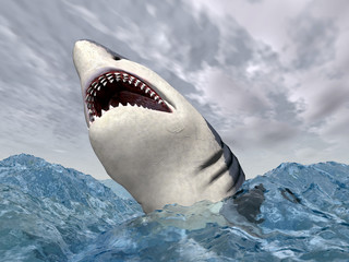 Wall Mural - Great White Shark in the stormy ocean