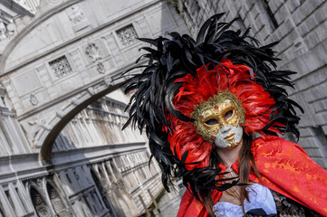 Wall Mural - carnaval de venise