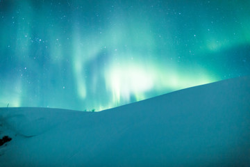 Wall Mural - aurora borealis (northern lights) over snowy hill