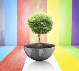 Wall Mural - green plant on earth,globe