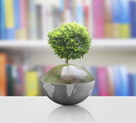 Wall Mural - green plant on earth,globe