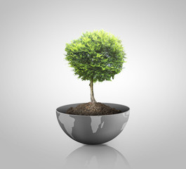 Wall Mural - green plant on earth,globe