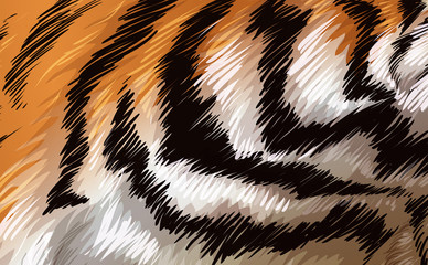 A tiger texture