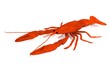 realistic 3d render of crustacean - dead crayfish