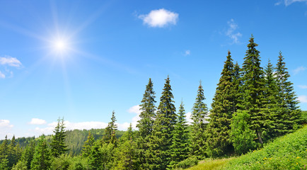 Wall Mural - high mountains and sun