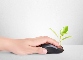 hands using  mouse with  plant