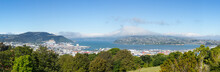 Panoramic Landscape Otago Bay Dunedin