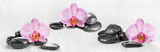 Fototapeta Panele - Horizontal panorama with pink orchids and zen stones on a wooden