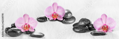 Fototapeta do kuchni Horizontal panorama with pink orchids and zen stones on a wooden