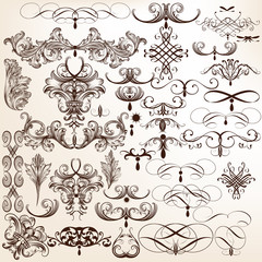 Wall Mural - Collection of vector flourishes and decorative swirls in vintage