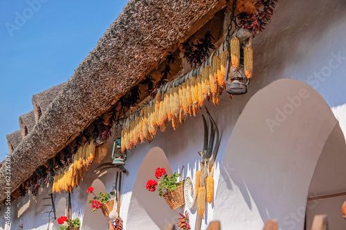 Getrocknete Maikolben Obraz na płótnie