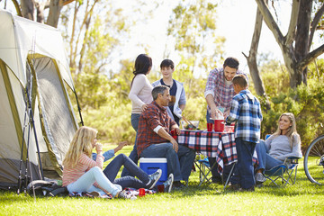 Canvas Print - Two Families Enjoying Camping Holiday In Countryside