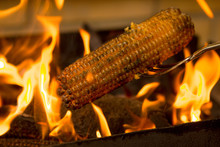 Corn Roasting Barbecue On Coal Fire