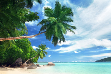 Wall Mural - beach on mahe island, seychelles