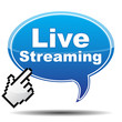 LIVE STREAMING ICON