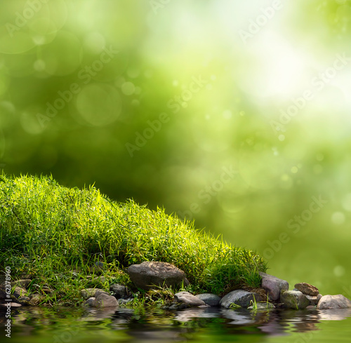 Grüne Natur als Hintergrund