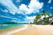 Beach Landscape In Sri Lanka