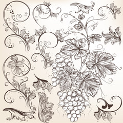 Wall Mural - Collection of vector  floral decorative elements for design
