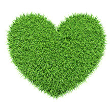 Green Heart Made Of Grass Isolated On White