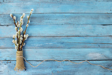 Pussy Willow Twigs On Wood Background