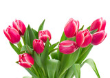 Fototapeta Tulipany - red   tulips bouquet close up