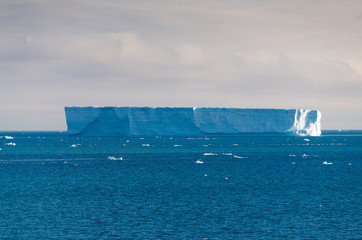 Wall Mural - Iceberg in southern ocean off antarctic peninsula