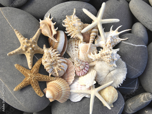 Nowoczesny obraz na płótnie still life with starfish, pebbles and shells