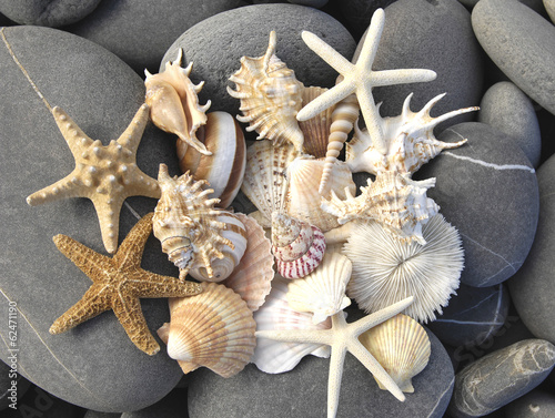 Naklejka na drzwi still life with starfish, pebbles and shells