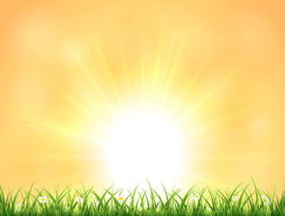 Wall Mural - Background with Sun and grass