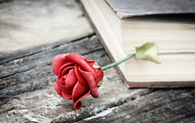 Book And Rose