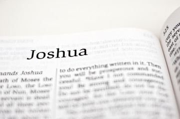 Wall Mural - Book of Joshua