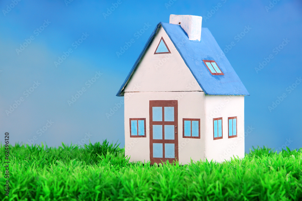 Little house on green grass, on bright background