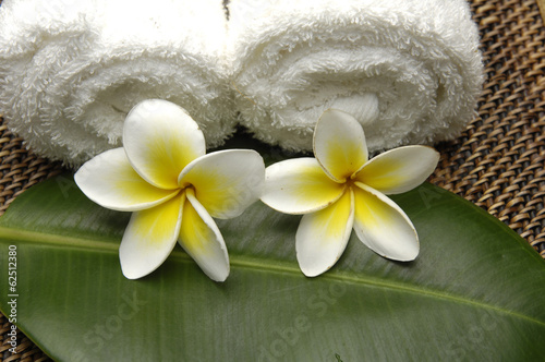 Fototapeta do kuchni Roller towel with frangipani flower on leaf on burlap texture