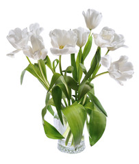 Wall Mural - white tulips