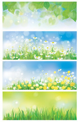 Wall Mural - vector spring nature banners, birch tree leaves, dandelion and c