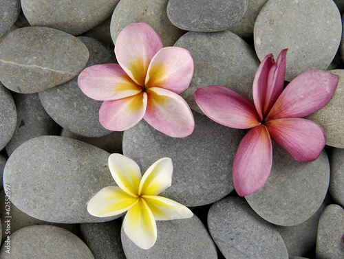 Nowoczesny obraz na płótnie Egzotyczne kwiaty plumeri na szarych kamieniach