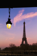 Wall Mural - View of the Eiffel Tower from under a Bridge