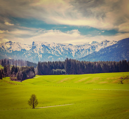 German idyllic pastoral countryside in spring with Alps in backg